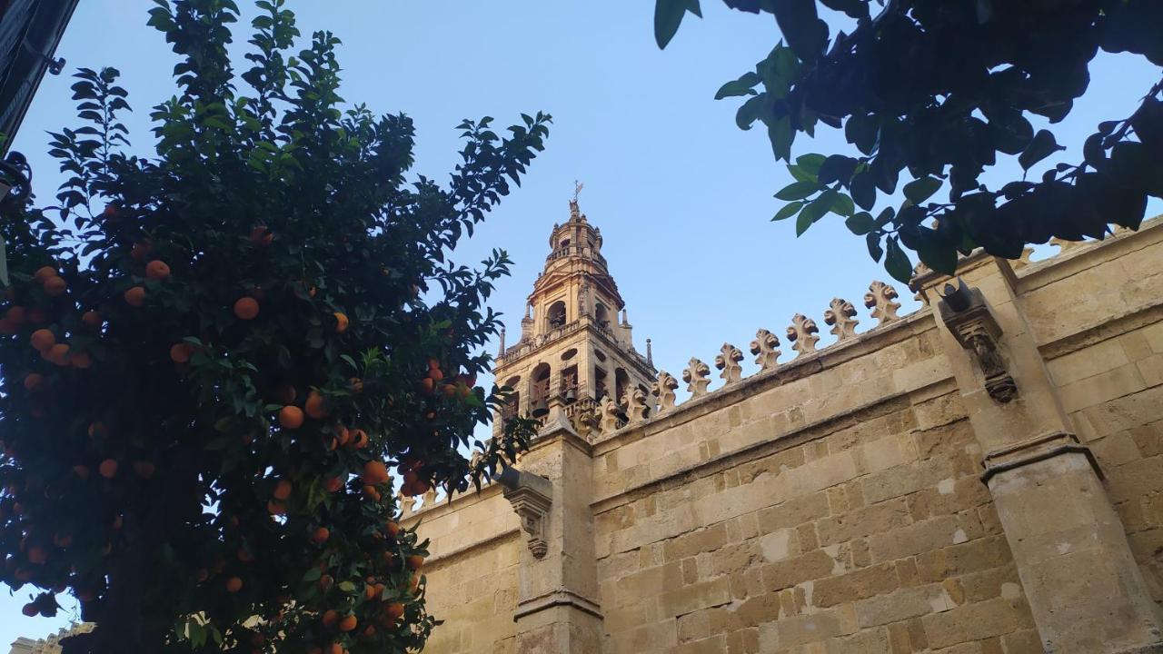 Apartamento Saravia Only Families Kordoba Bagian luar foto